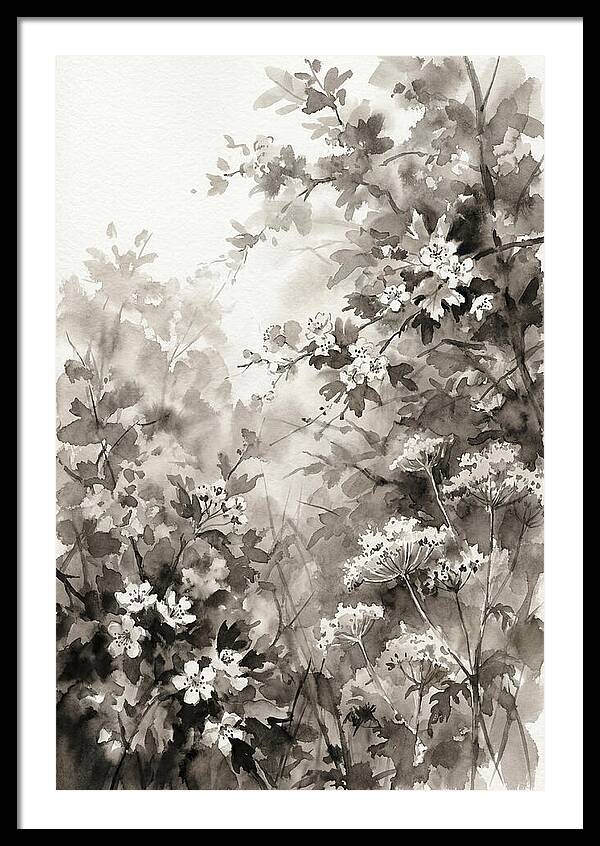 Spring Hedgerow With May Blossom