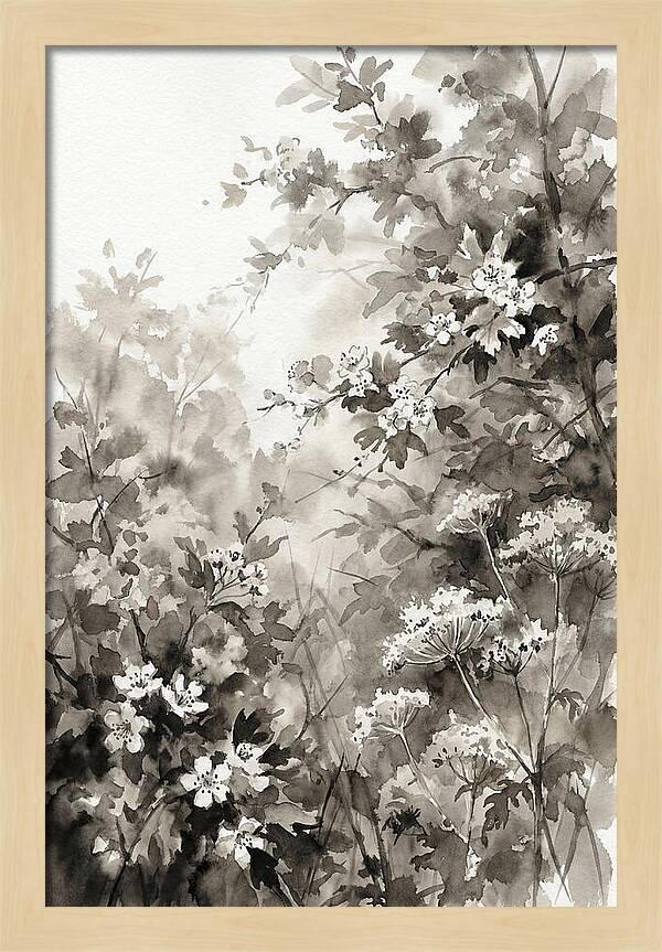 Spring Hedgerow With May Blossom