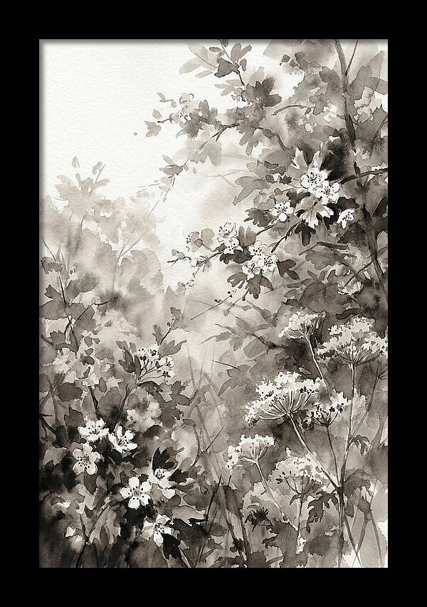 Spring Hedgerow With May Blossom
