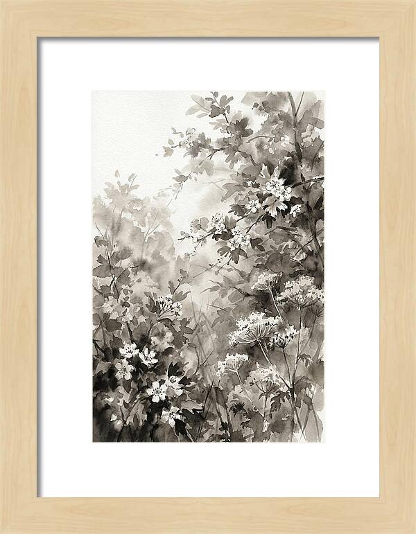Spring Hedgerow With May Blossom
