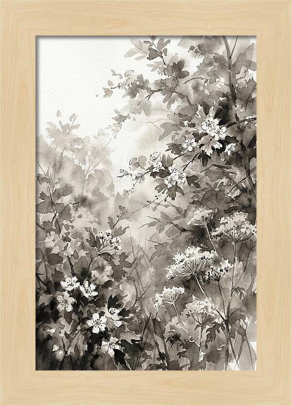 Spring Hedgerow With May Blossom