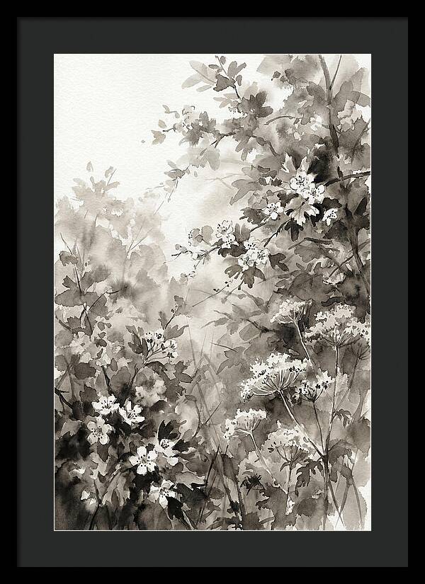 Spring Hedgerow With May Blossom