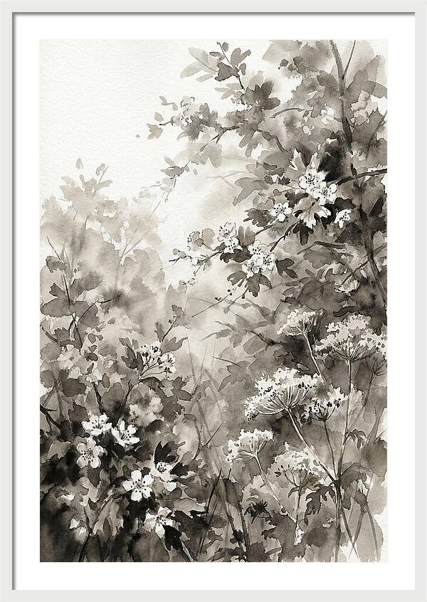Spring Hedgerow With May Blossom
