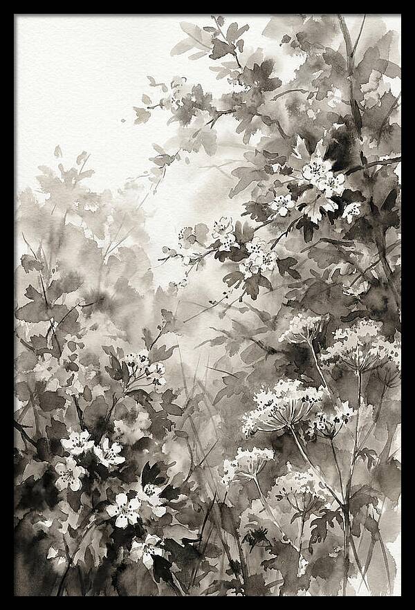 Spring Hedgerow With May Blossom