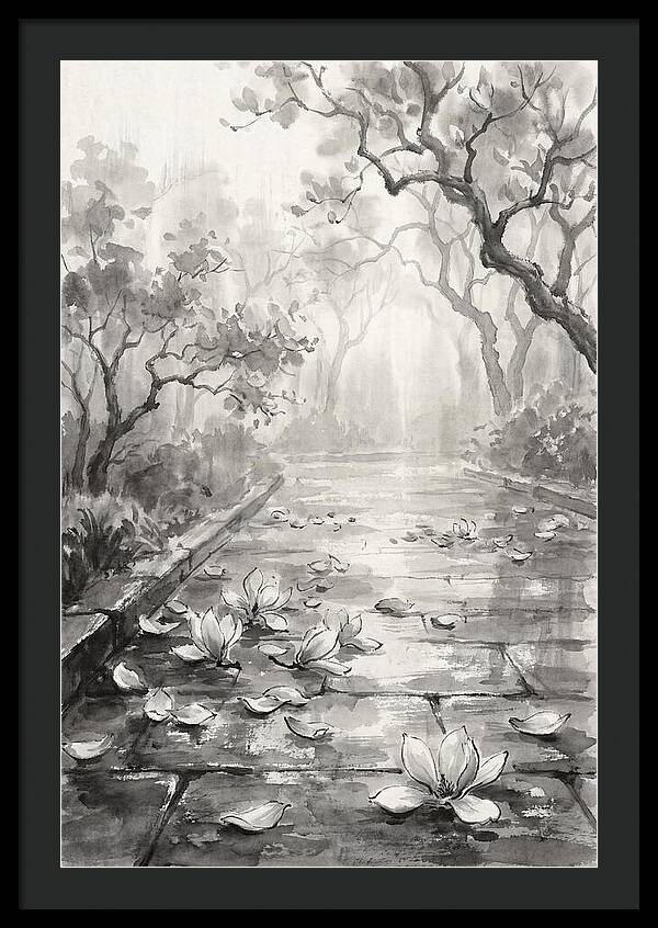 Spring Magnolia Petals Fallen On Wet Stone