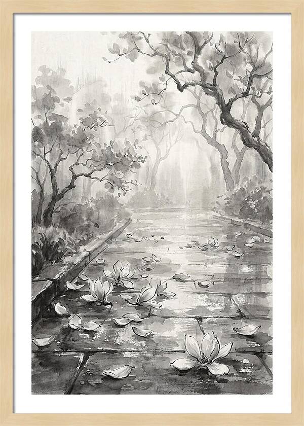 Spring Magnolia Petals Fallen On Wet Stone