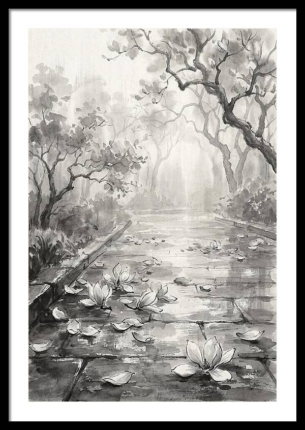Spring Magnolia Petals Fallen On Wet Stone