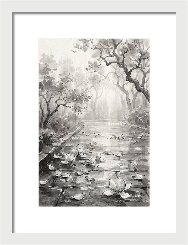 Spring Magnolia Petals Fallen On Wet Stone