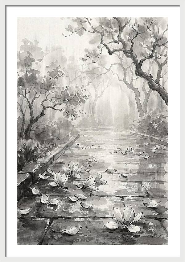 Spring Magnolia Petals Fallen On Wet Stone