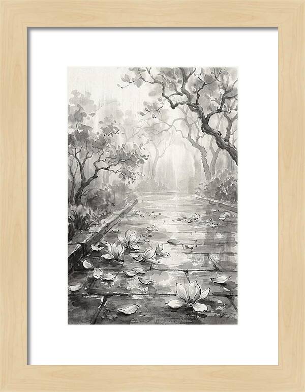 Spring Magnolia Petals Fallen On Wet Stone