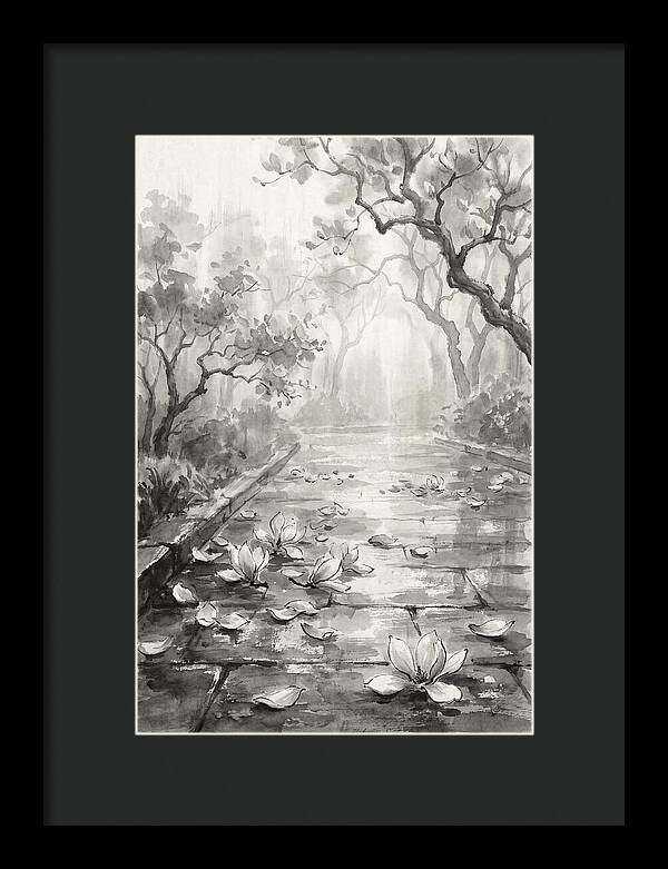 Spring Magnolia Petals Fallen On Wet Stone
