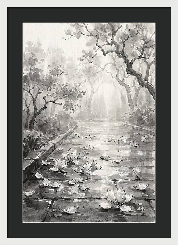 Spring Magnolia Petals Fallen On Wet Stone