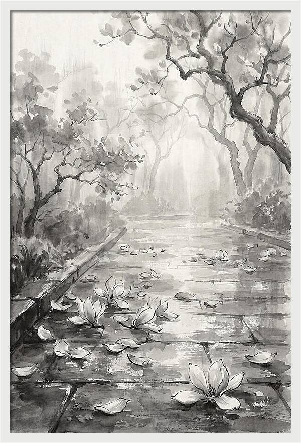 Spring Magnolia Petals Fallen On Wet Stone