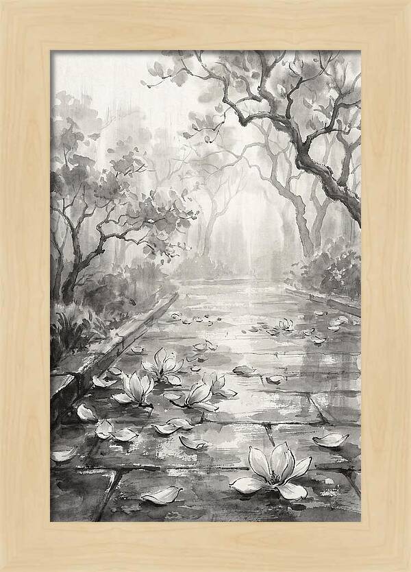 Spring Magnolia Petals Fallen On Wet Stone