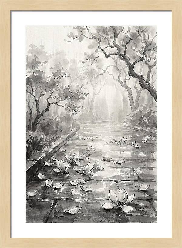 Spring Magnolia Petals Fallen On Wet Stone