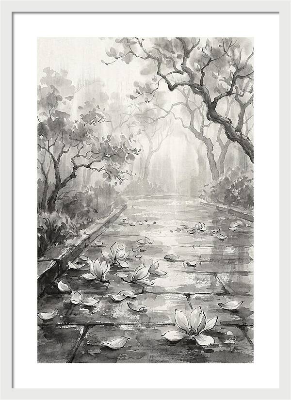 Spring Magnolia Petals Fallen On Wet Stone