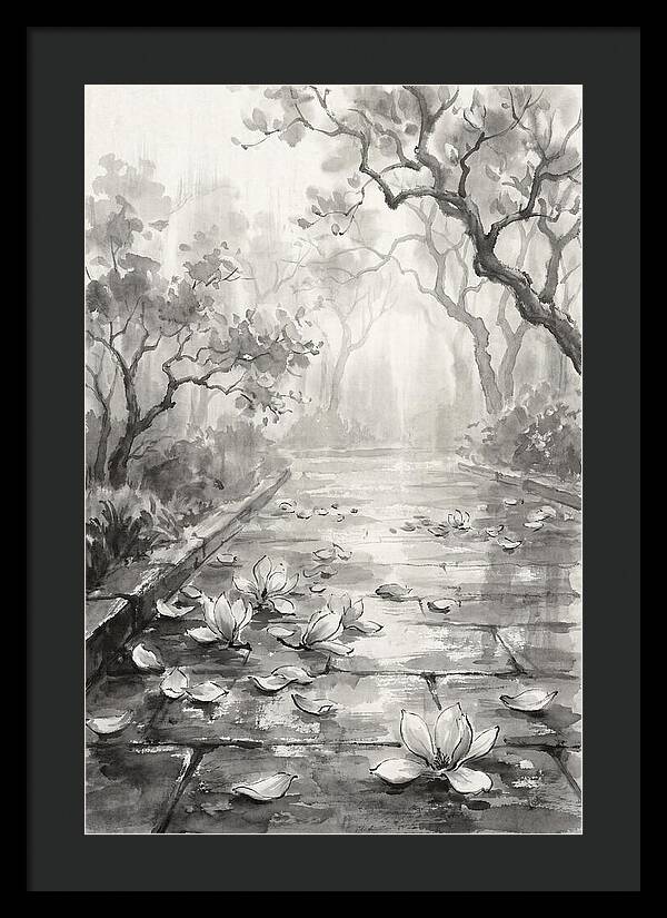 Spring Magnolia Petals Fallen On Wet Stone