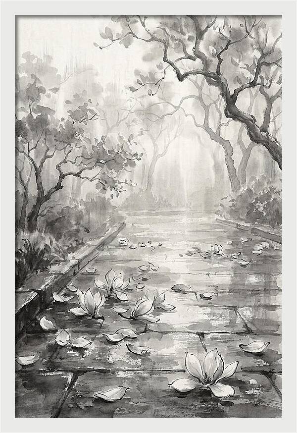 Spring Magnolia Petals Fallen On Wet Stone