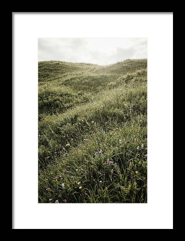 Spring Meadow Bursting Green