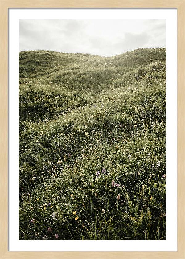 Spring Meadow Bursting Green