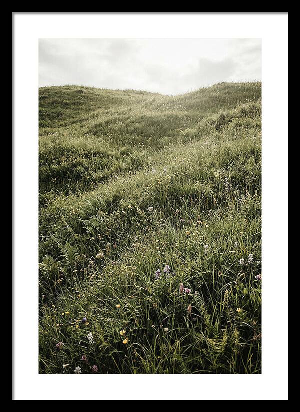 Spring Meadow Bursting Green