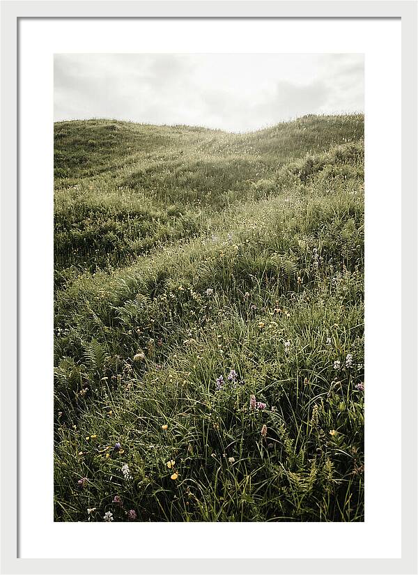 Spring Meadow Bursting Green