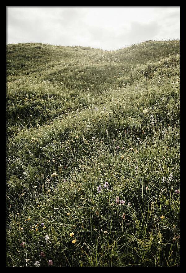 Spring Meadow Bursting Green