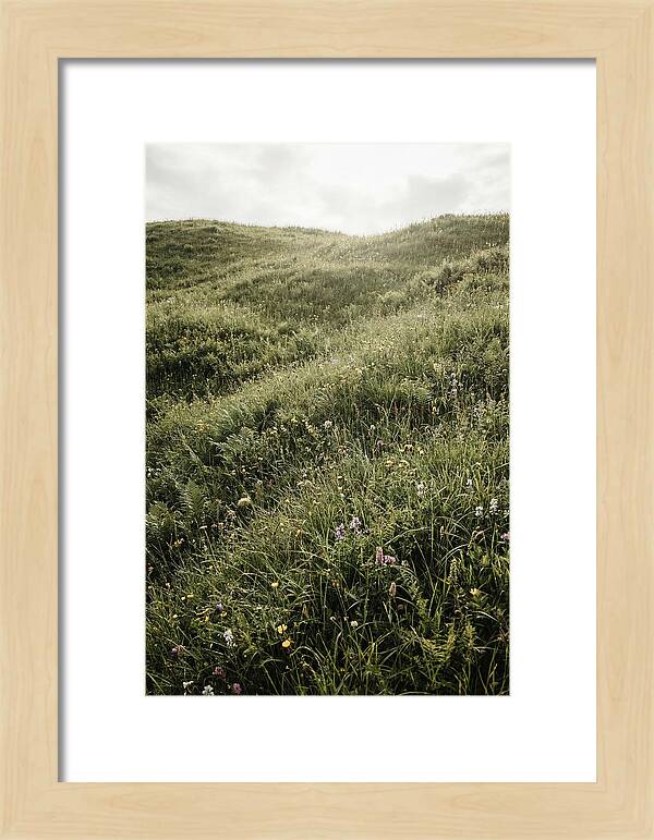 Spring Meadow Bursting Green
