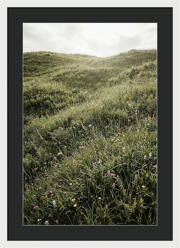Spring Meadow Bursting Green