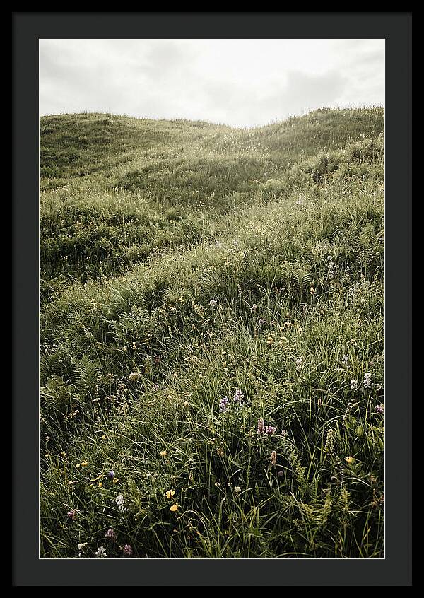 Spring Meadow Bursting Green