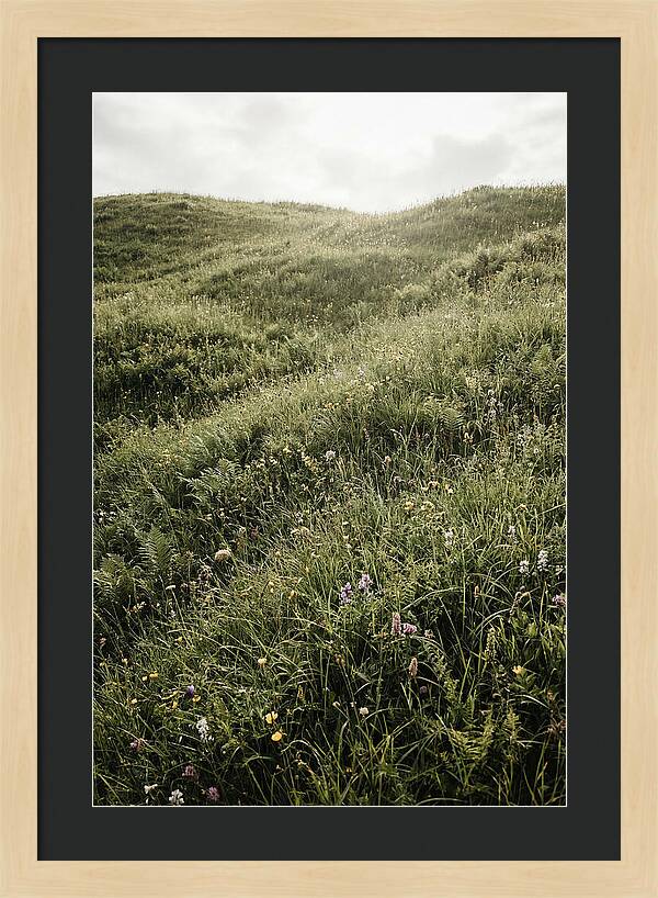 Spring Meadow Bursting Green