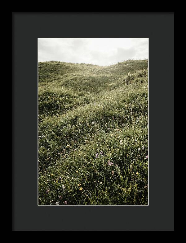 Spring Meadow Bursting Green