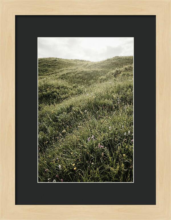 Spring Meadow Bursting Green