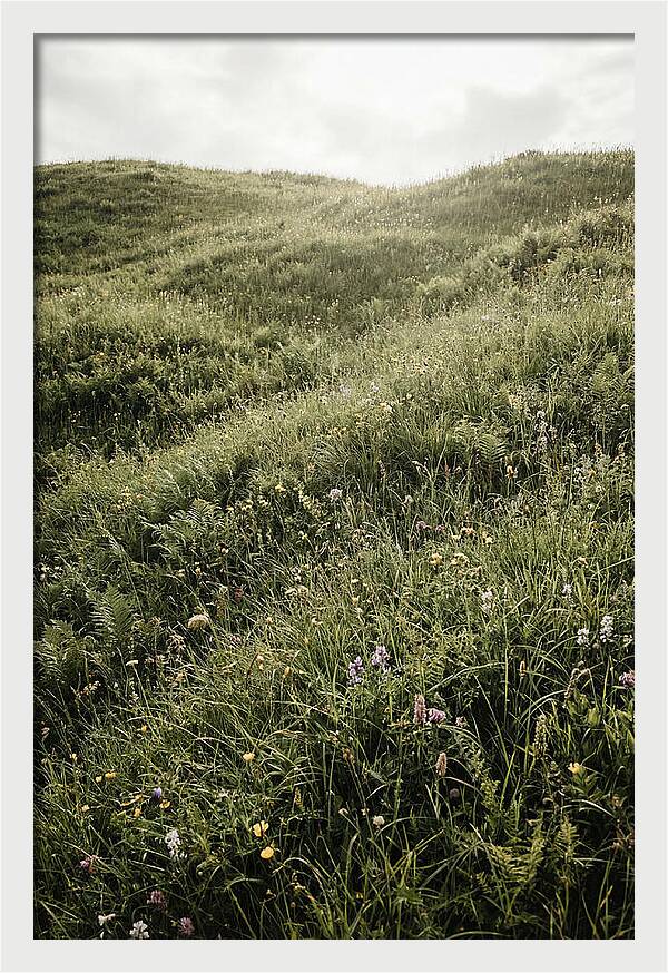 Spring Meadow Bursting Green