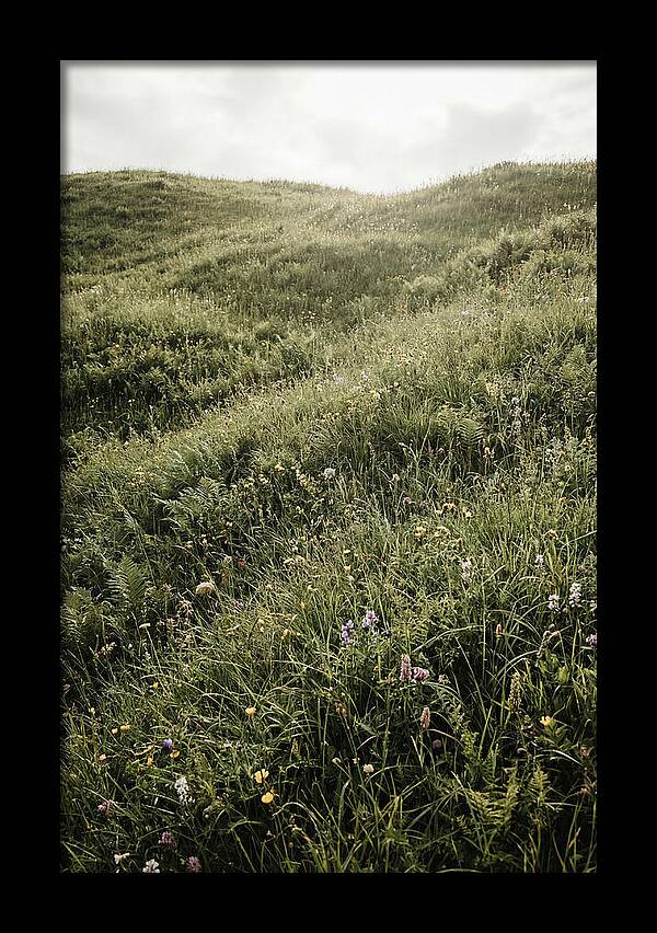 Spring Meadow Bursting Green