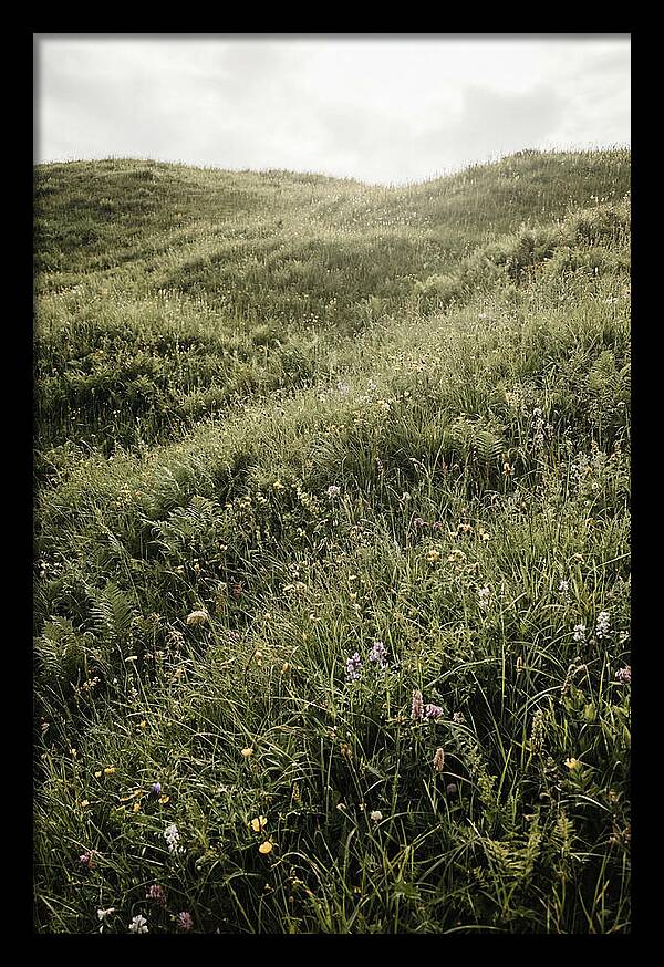 Spring Meadow Bursting Green