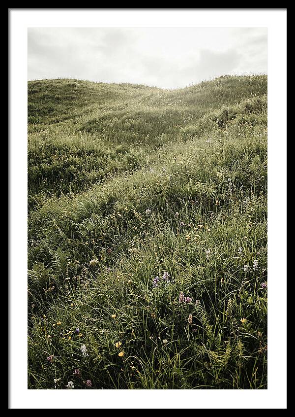 Spring Meadow Bursting Green