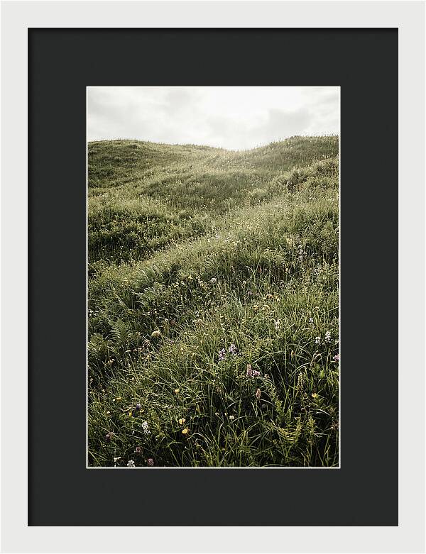 Spring Meadow Bursting Green