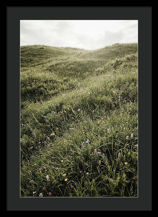 Spring Meadow Bursting Green