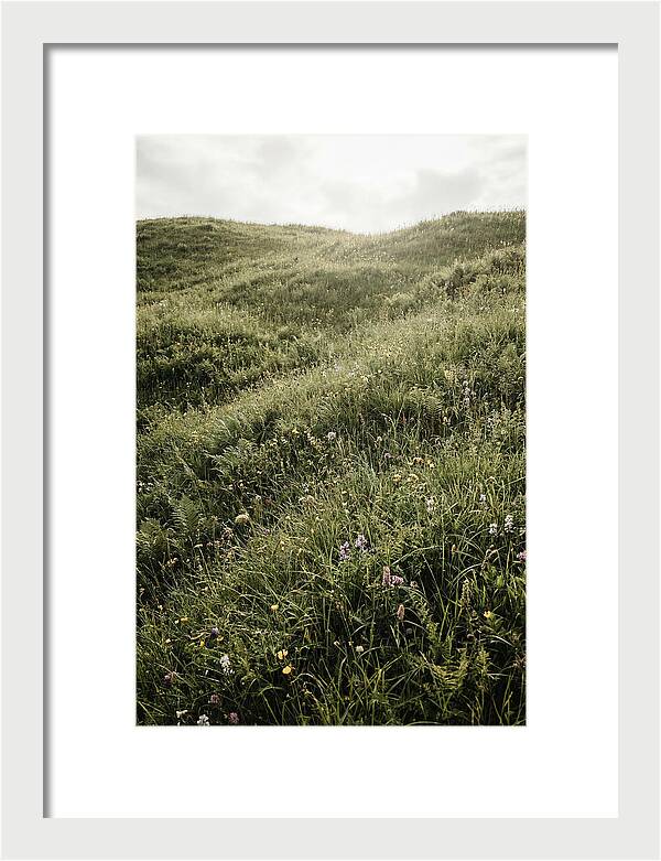 Spring Meadow Bursting Green