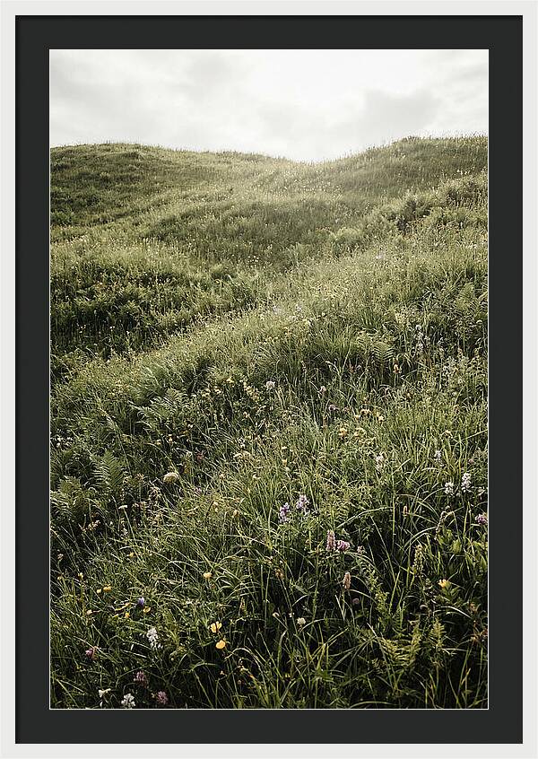 Spring Meadow Bursting Green