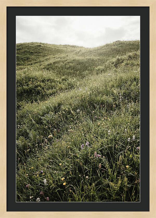 Spring Meadow Bursting Green