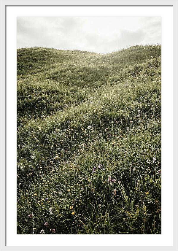 Spring Meadow Bursting Green