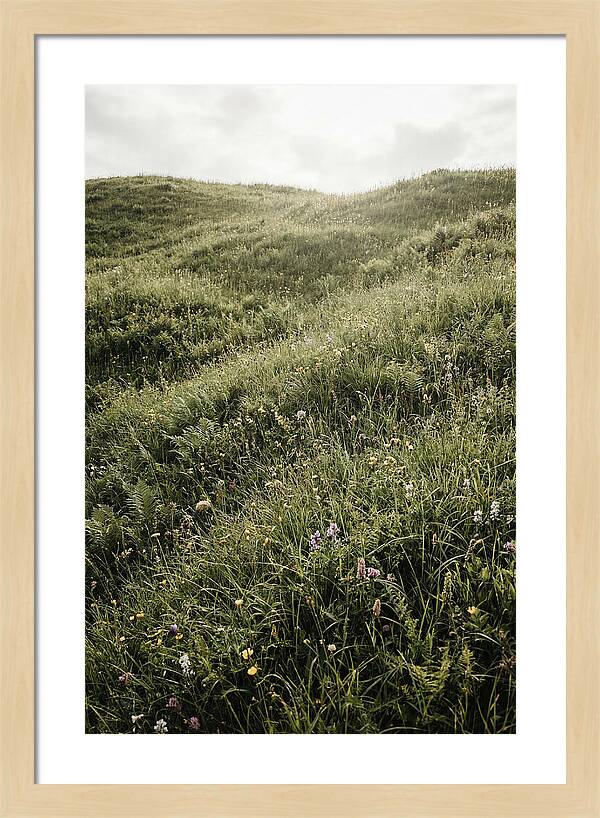 Spring Meadow Bursting Green