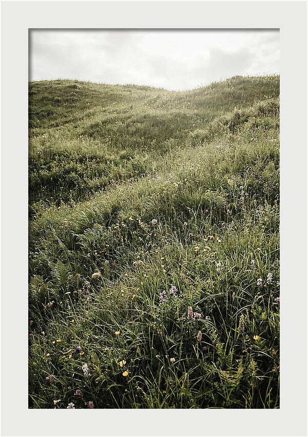 Spring Meadow Bursting Green