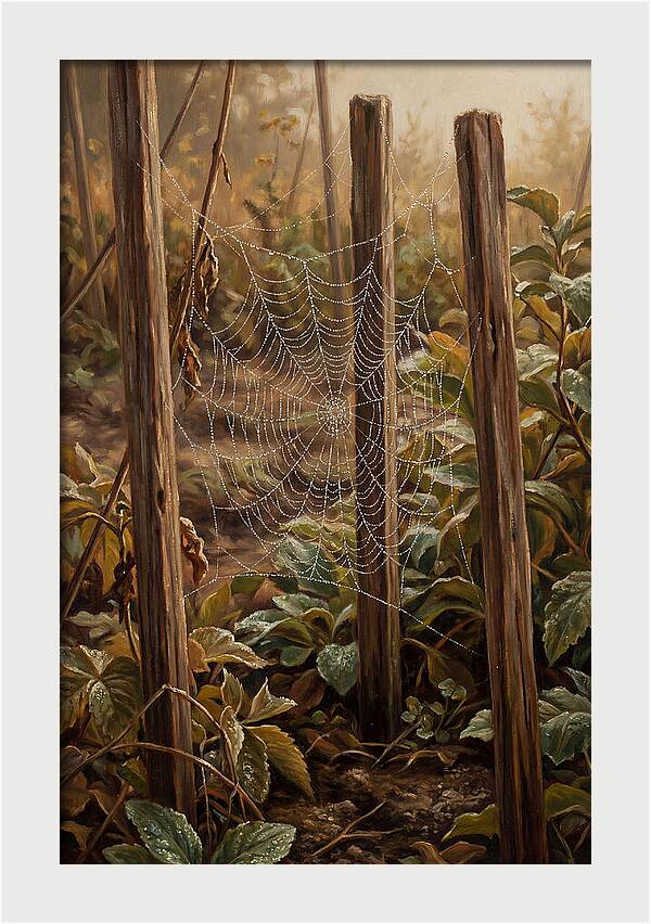 Spring Morning Dew On Web