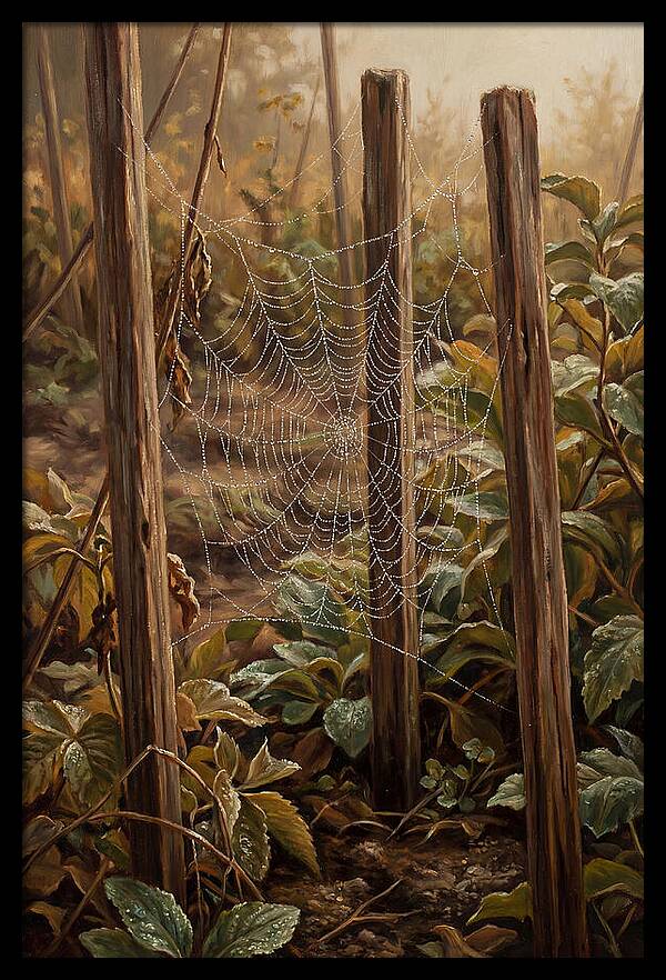 Spring Morning Dew On Web