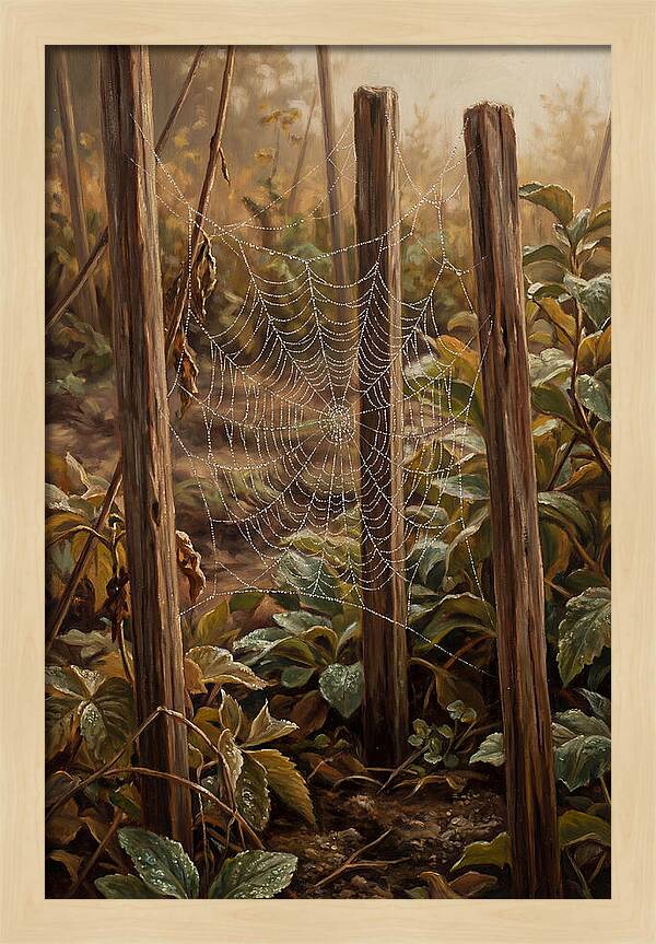 Spring Morning Dew On Web