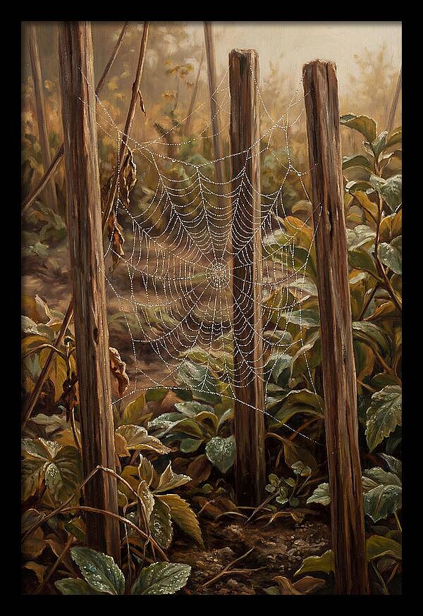 Spring Morning Dew On Web