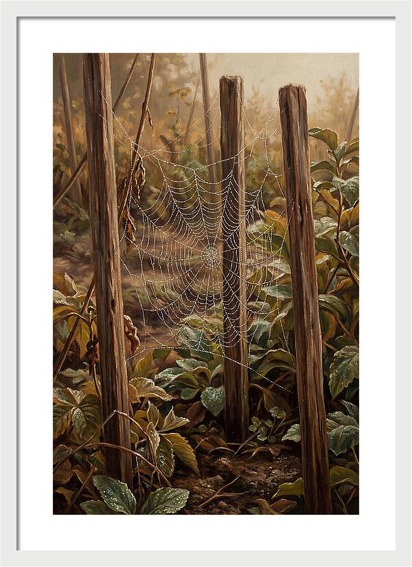 Spring Morning Dew On Web
